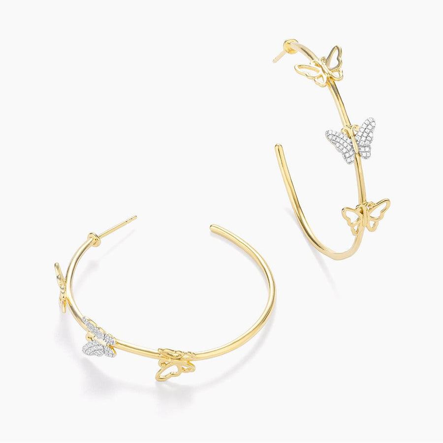 Buy Beautiful Butterfly Hoop Earrings Online Winter Collection