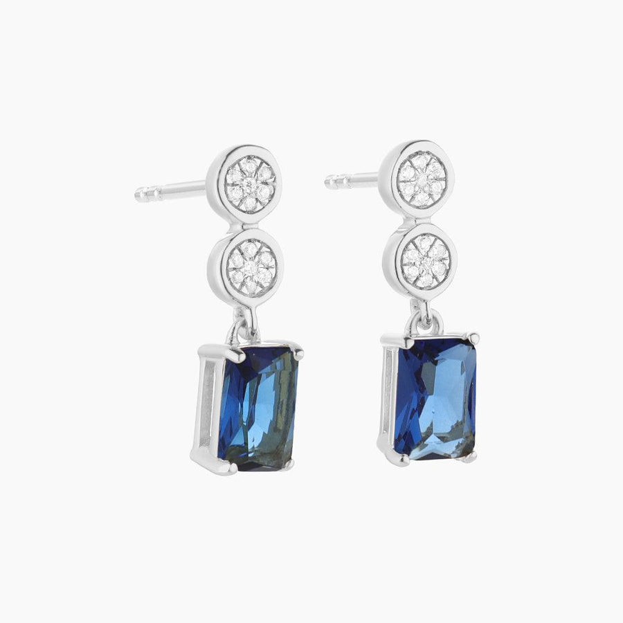 Live your Life in Color Drop Earrings