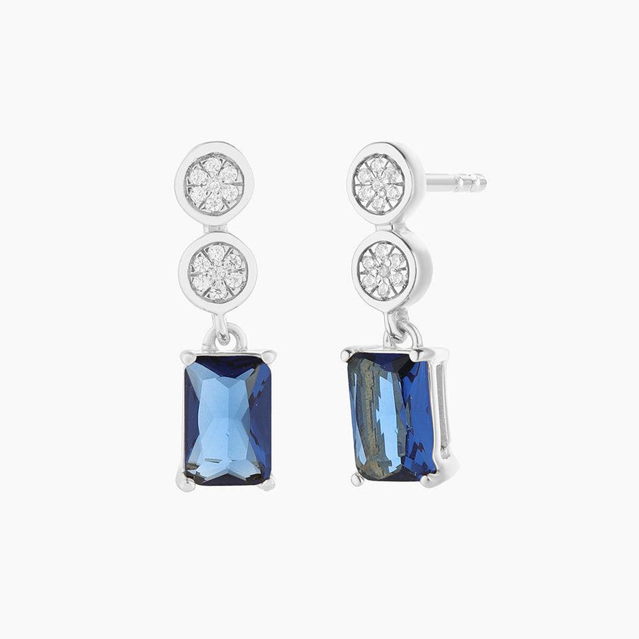Live your Life in Color Drop Earrings