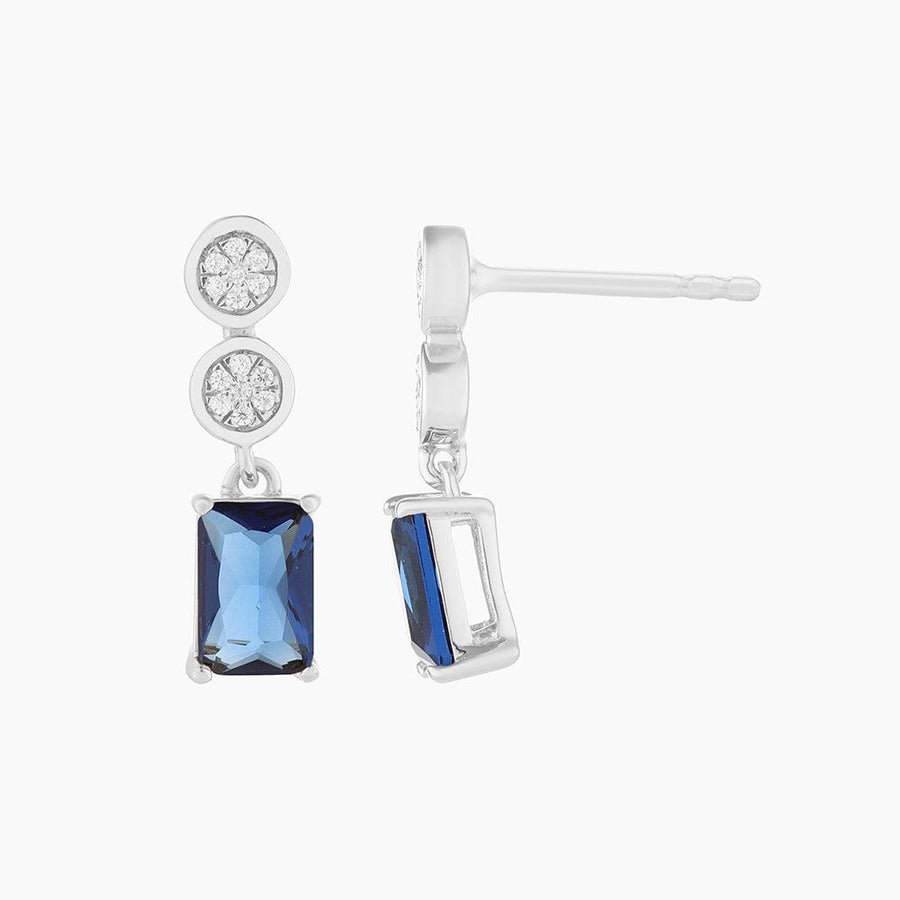Live your Life in Color Drop Earrings
