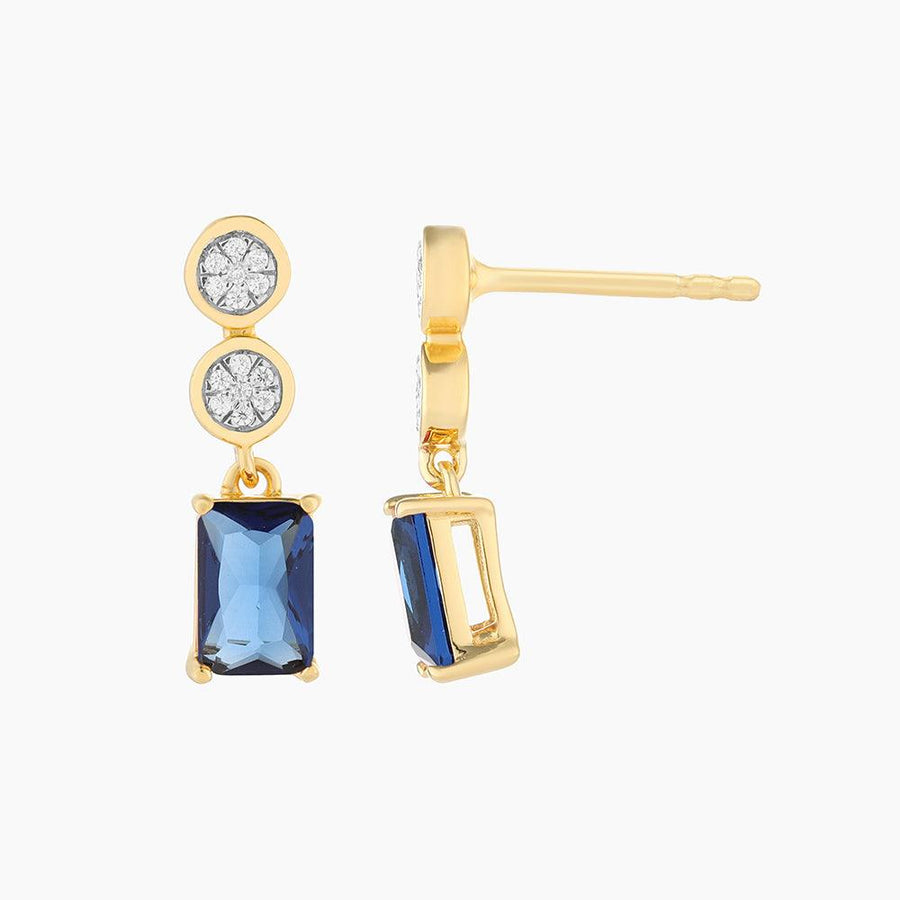 Live your Life in Color Drop Earrings