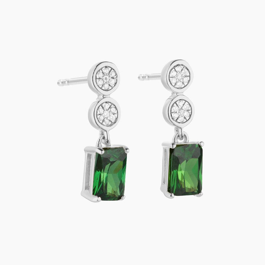 Live your Life in Color Drop Earrings