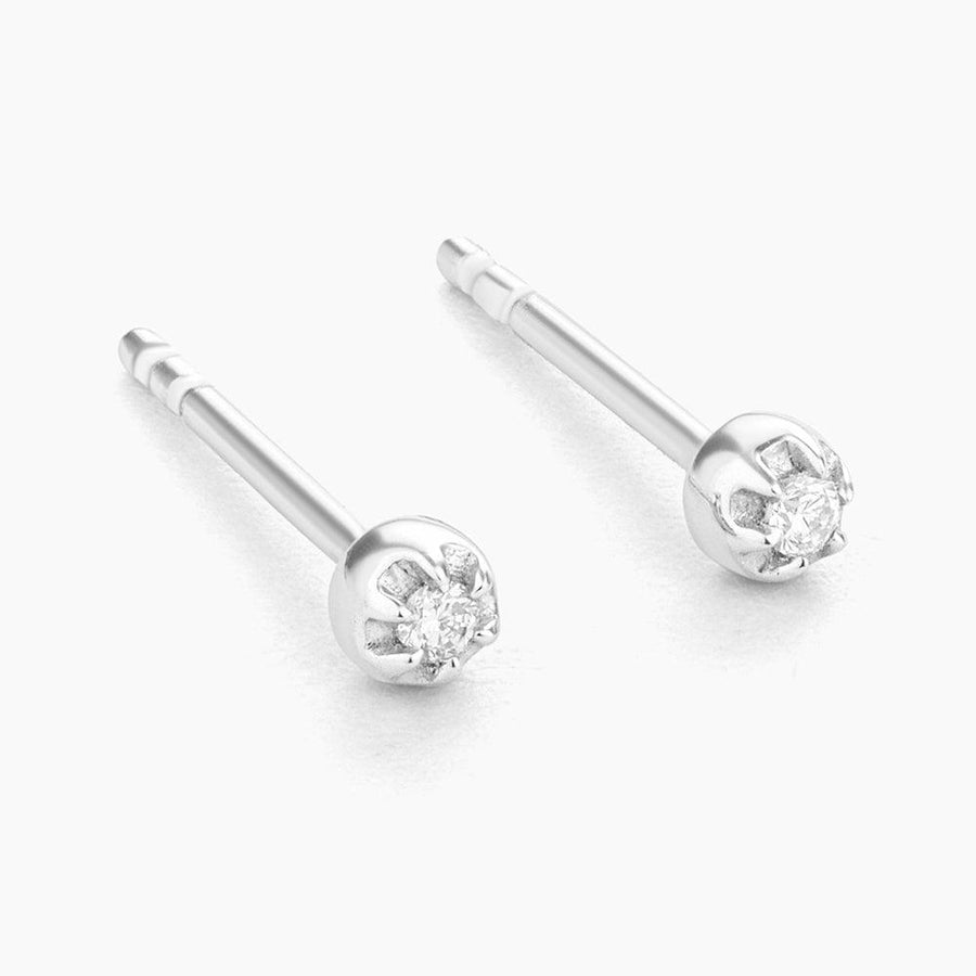 Ala Stud Earrings - Ella Stein 