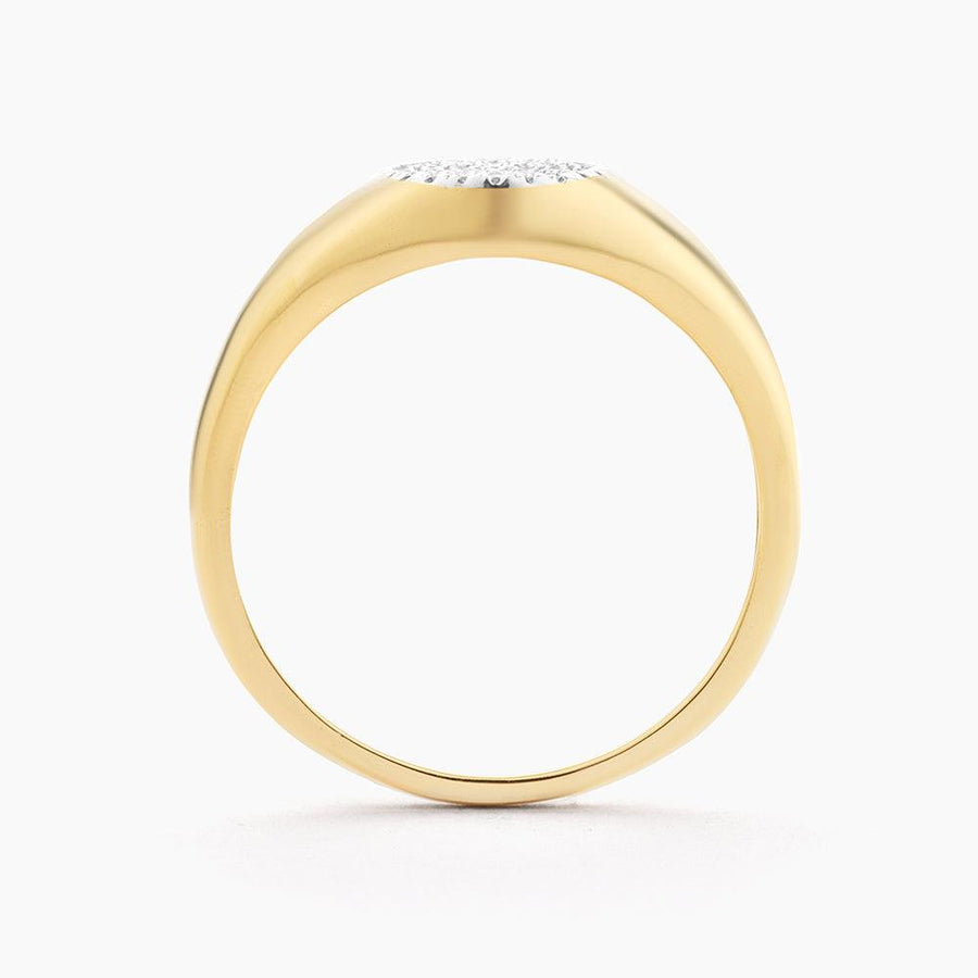 Circle Signet Statement Ring - Ella Stein 